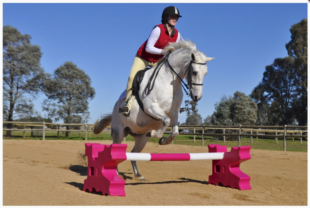 Jump Agboss Cavaletti Pair Pink 