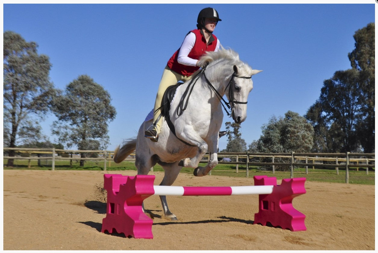 Jump Agboss Cavaletti Pair Pink 