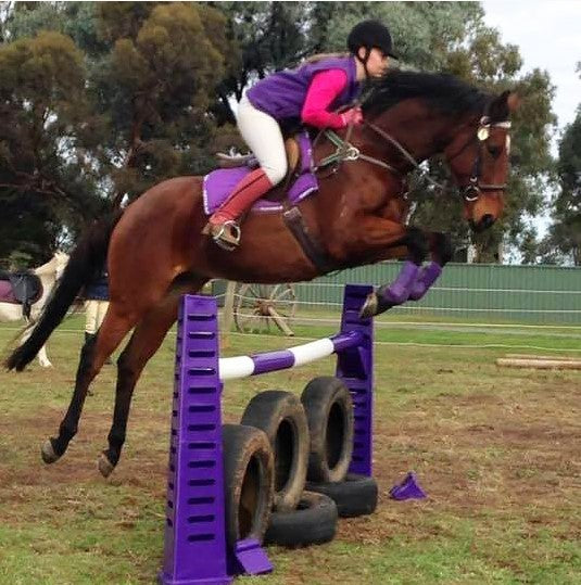 Jump Agboss Tri & Cups Pair Pink 