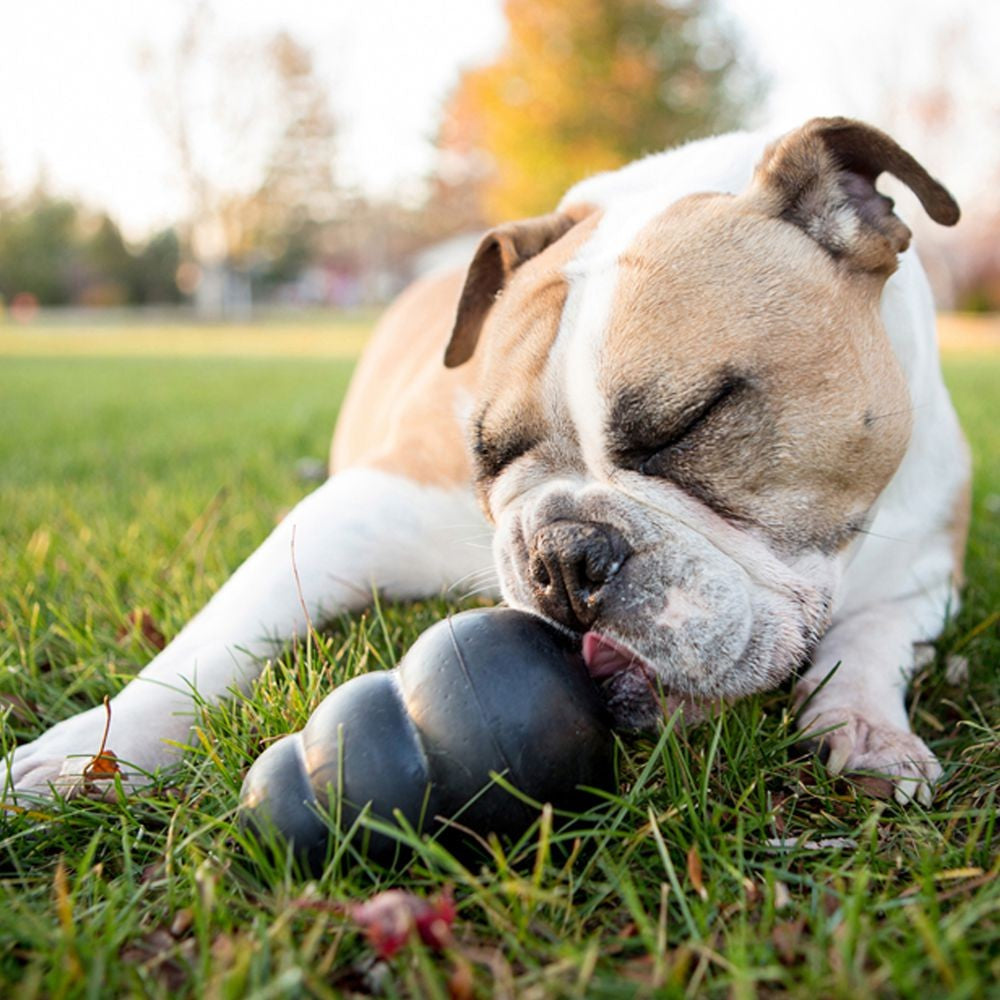 Kong Dog Toy Extreme Black Small