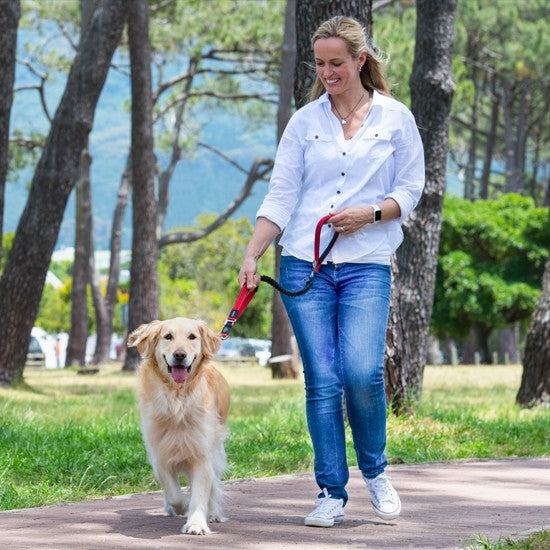 Rogz Dog Leash Control Red [:extra Large]