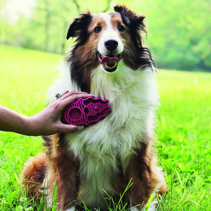 Dog Grooming Zoom Groom Raspberry