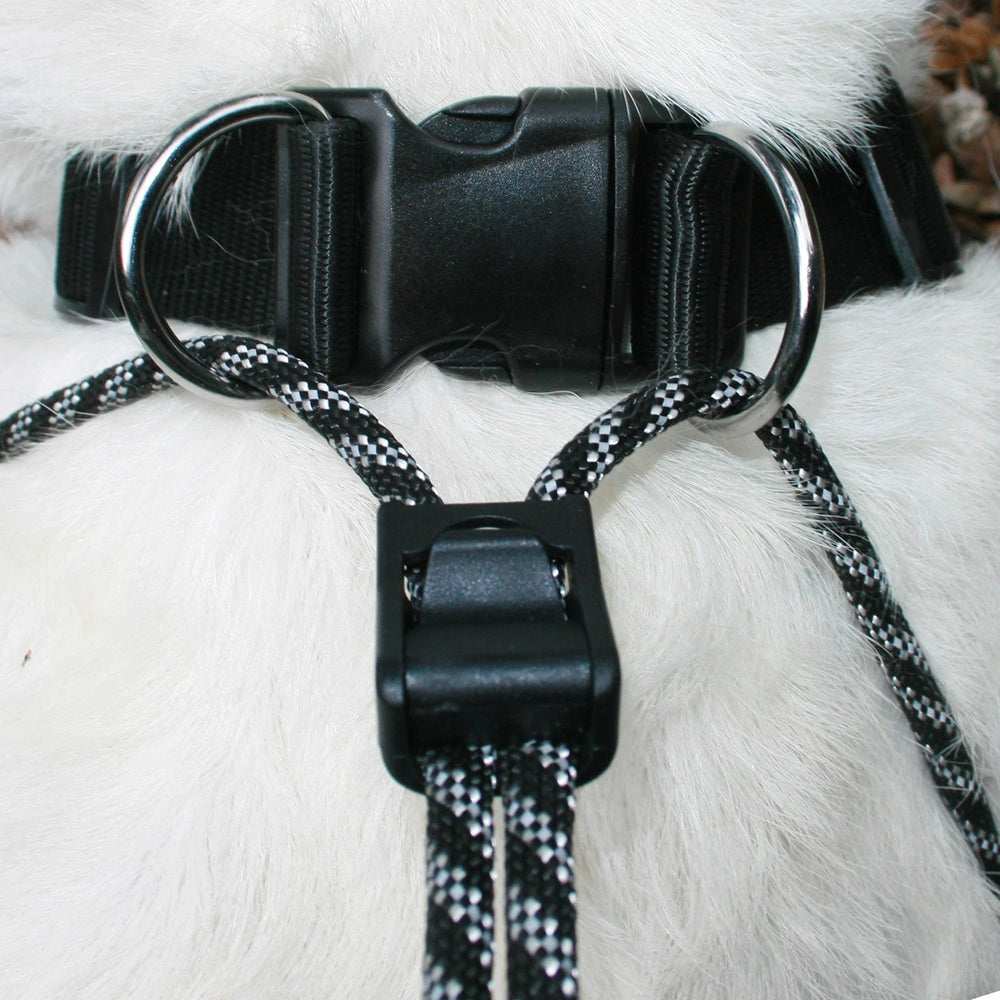 Head Collar Sporn Big Dog Halter Black [:extra Large]
