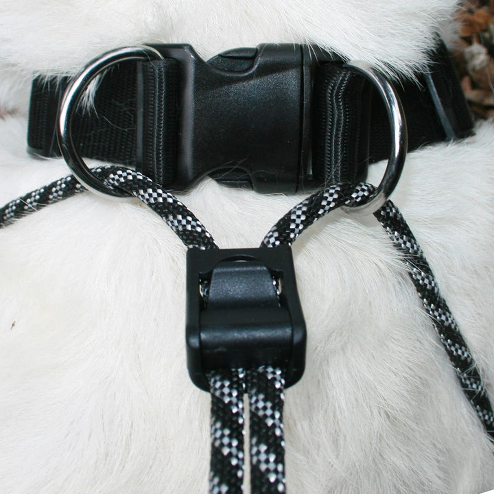 Head Collar Sporn Big Dog Halter Black [:extra Large]