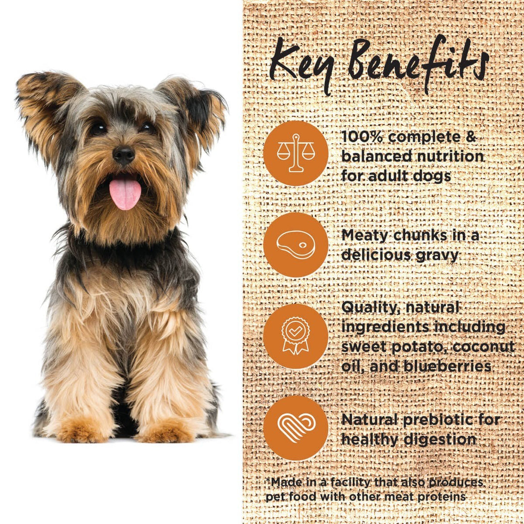 Ivory Coat Dog Wet Can Grainfree Chicken & Coconut Stew 400gm
