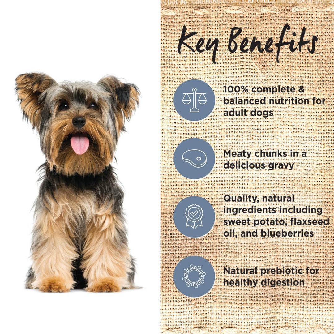 Ivory Coat Dog Wet Can Grainfree Lamb & Sardine Stew 400gm