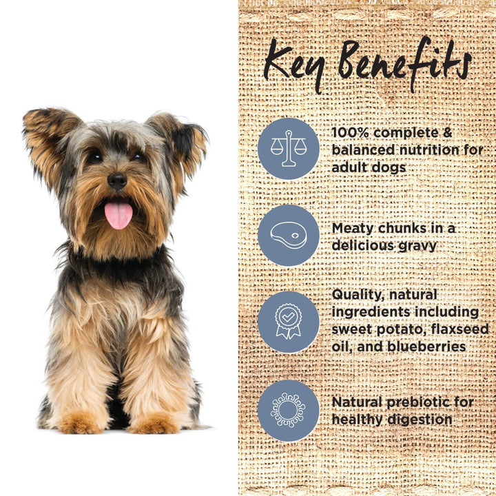 Ivory Coat Dog Wet Can Grainfree Lamb & Sardine Stew 400gm