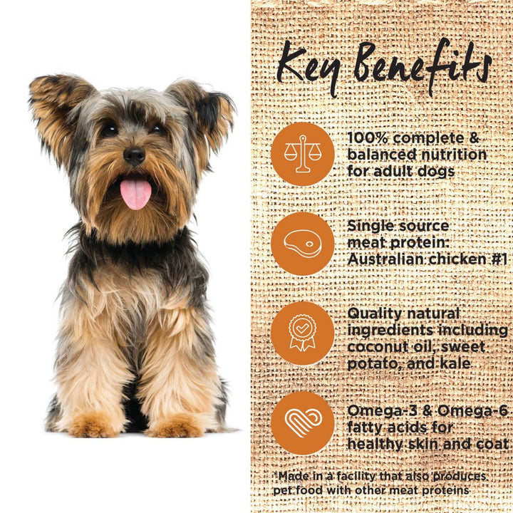 Ivory Coat Dog Grainfree Chicken & Coconut Oil 13kg