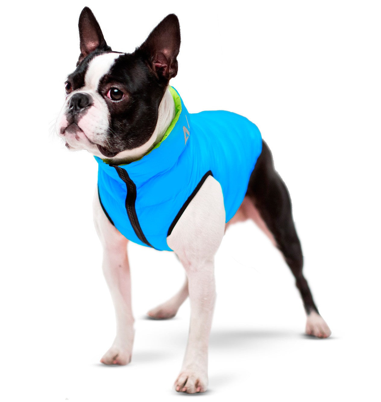 Airyvest Blue & Black [:small 30]