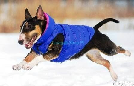 Airyvest Blue & Black [:small 40]