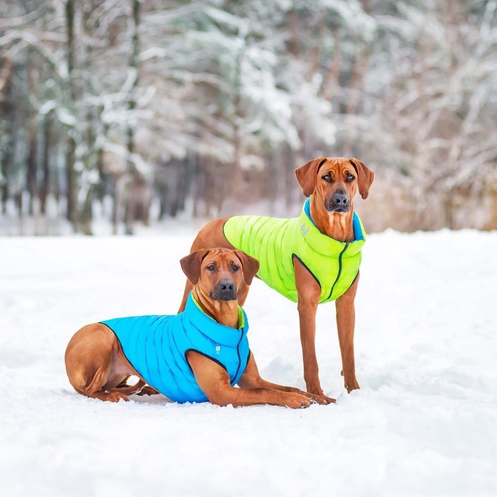 Airyvest Blue & Black [:medium 40]