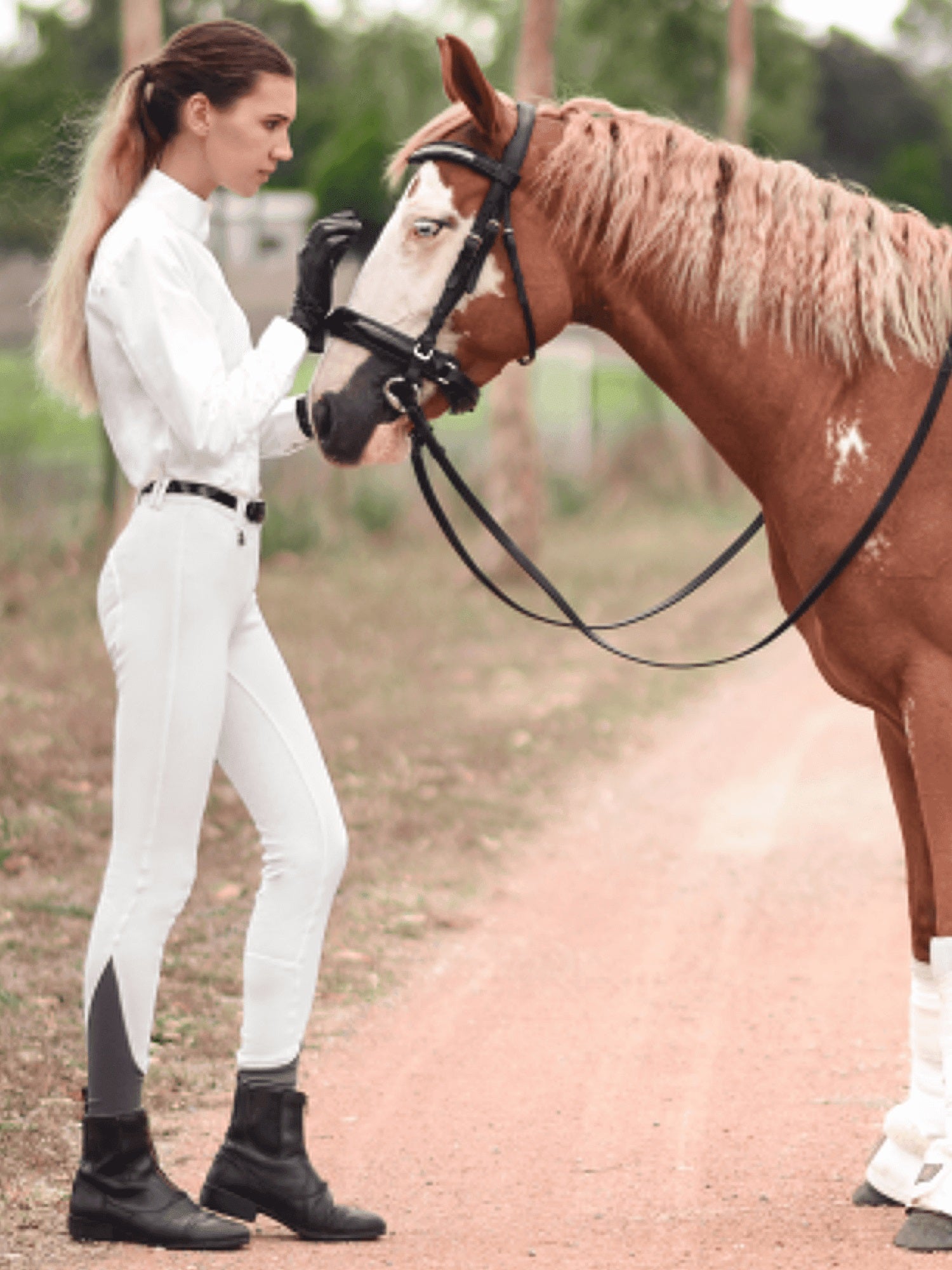 Jodhpurs Peter Williams Gel Seat Pull On Ladies White [:08]