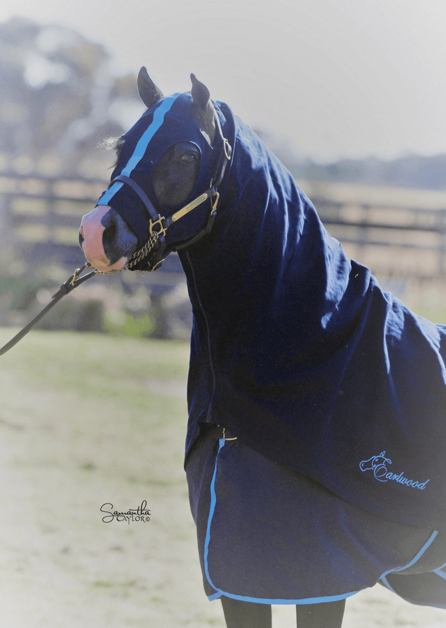 Cotton Hood Earlwood Navy & Blue [:pony]