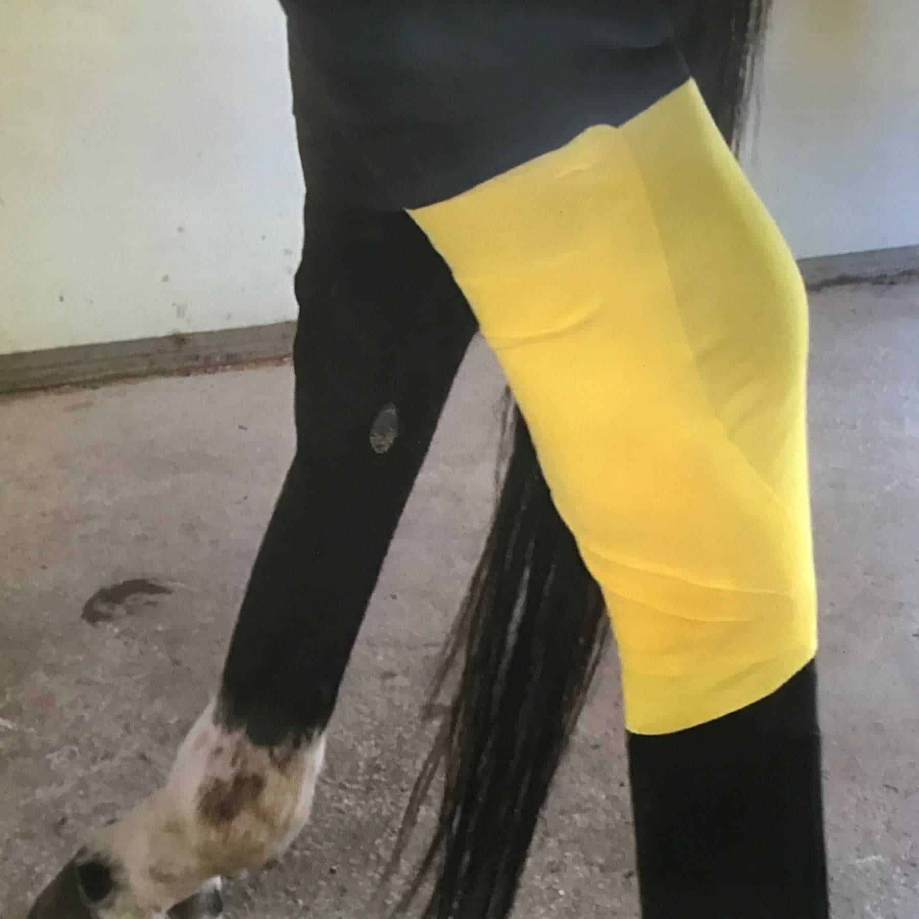 Bandage Wrap Essential Ranvet Medium