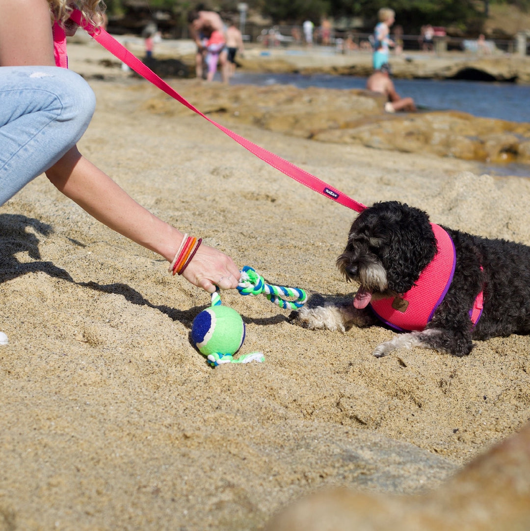 Kazoo Dog Toy Twisted Rope Sling Tennis Ball [:medium]