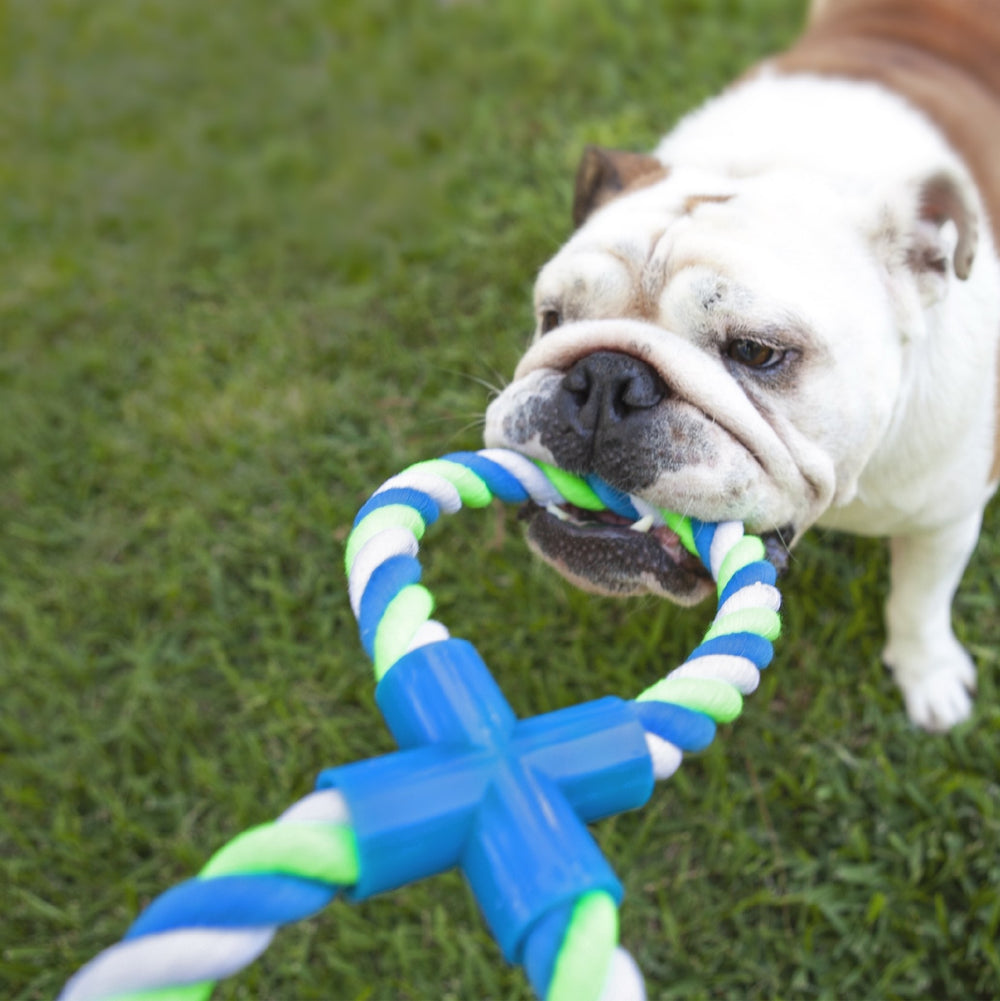 Kazoo Dog Toy Twisted Rope Figure Eight Tug