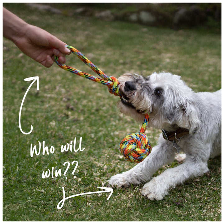 Kazoo Dog Toy Braided Rope Sling Knot Ball [:medium]