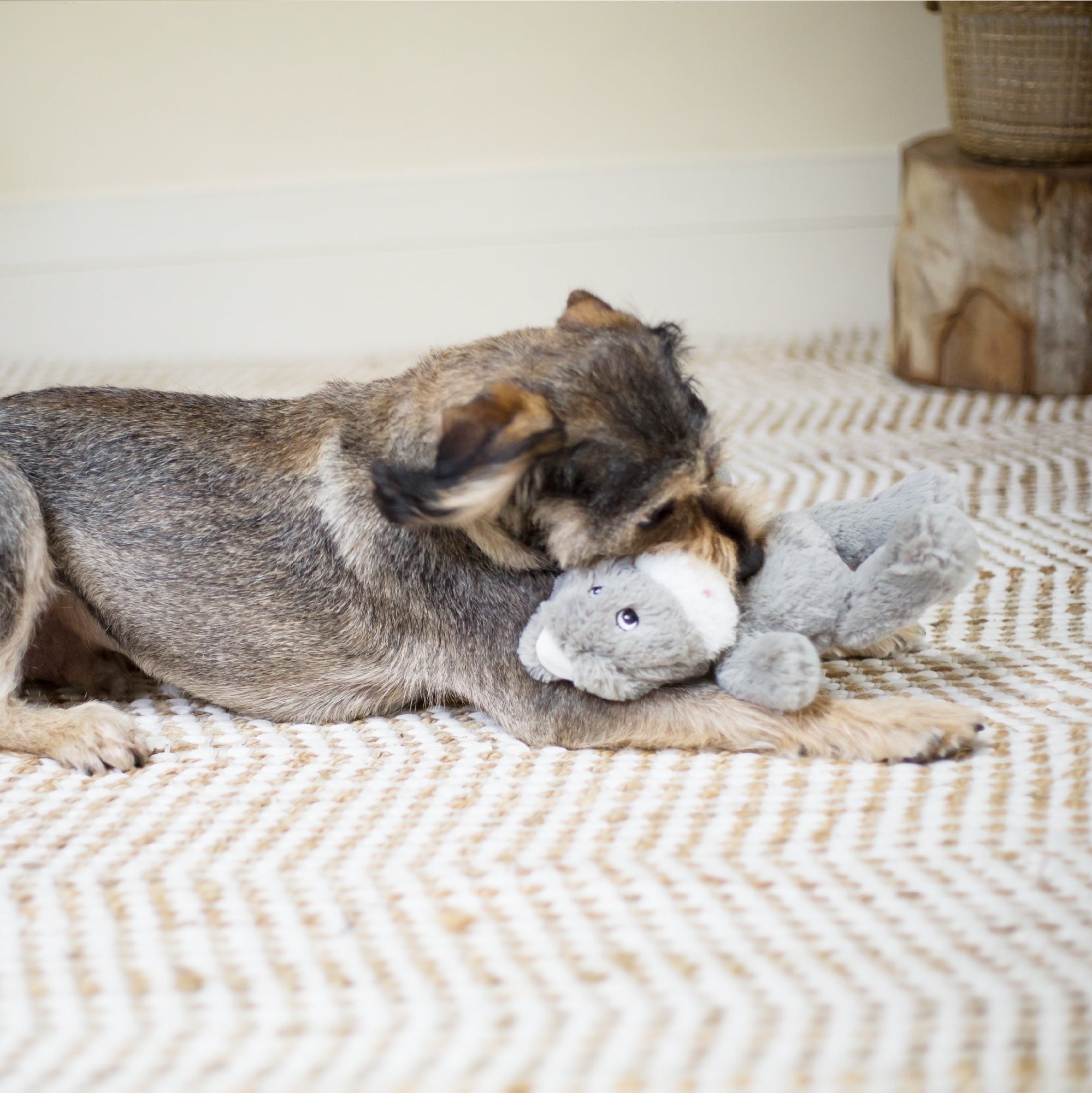 Kazoo Dog Toy Furries Long Eared Donkey [:small]