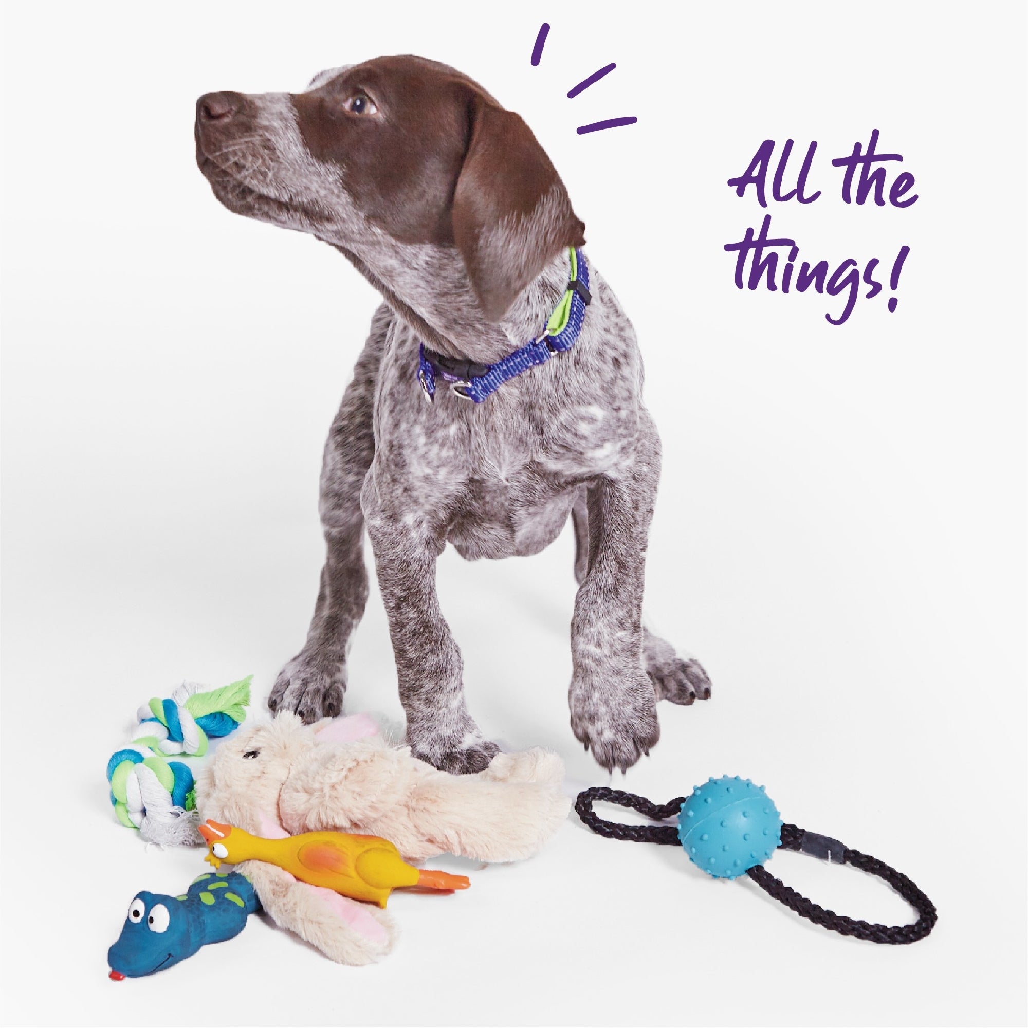 Kazoo Dog Toy Furries Long Eared Bunny [:small]