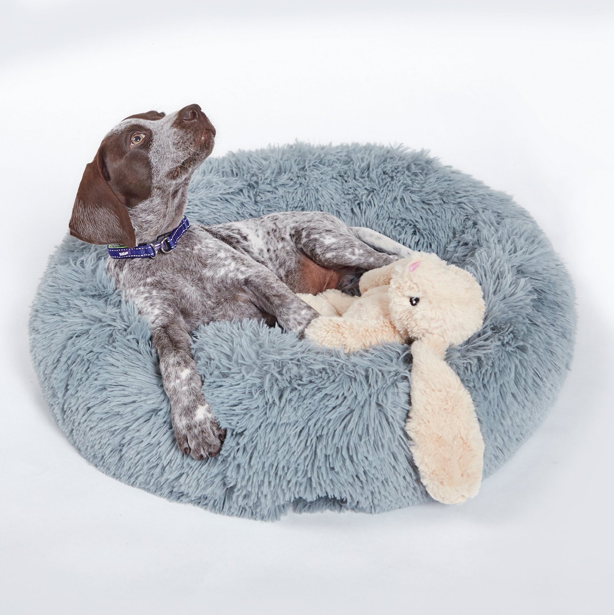 Kazoo Dog Toy Furries Long Eared Bunny [:small]