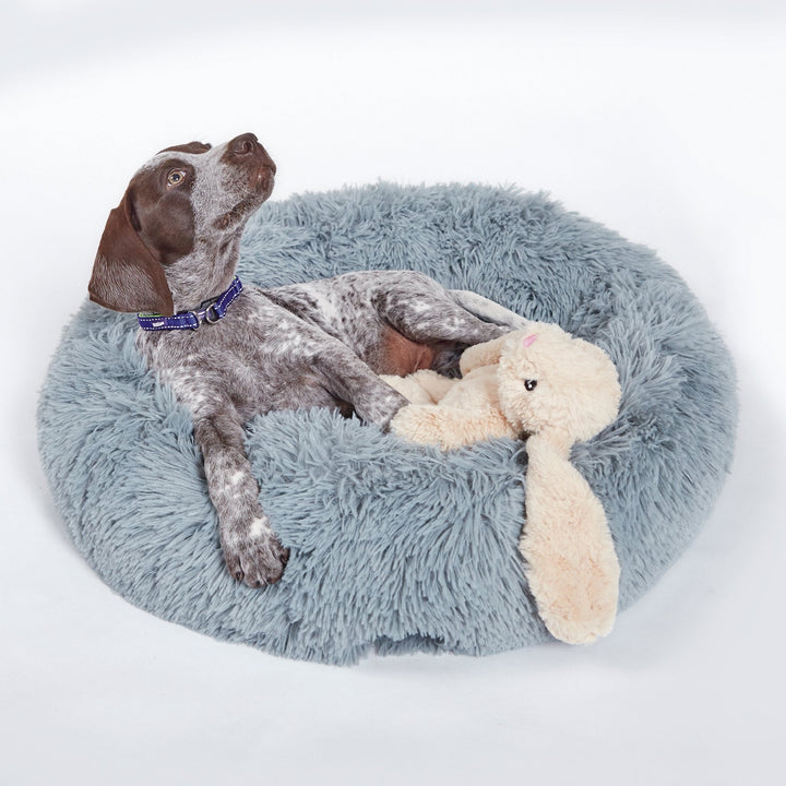 Kazoo Dog Toy Furries Long Eared Bunny [:small]