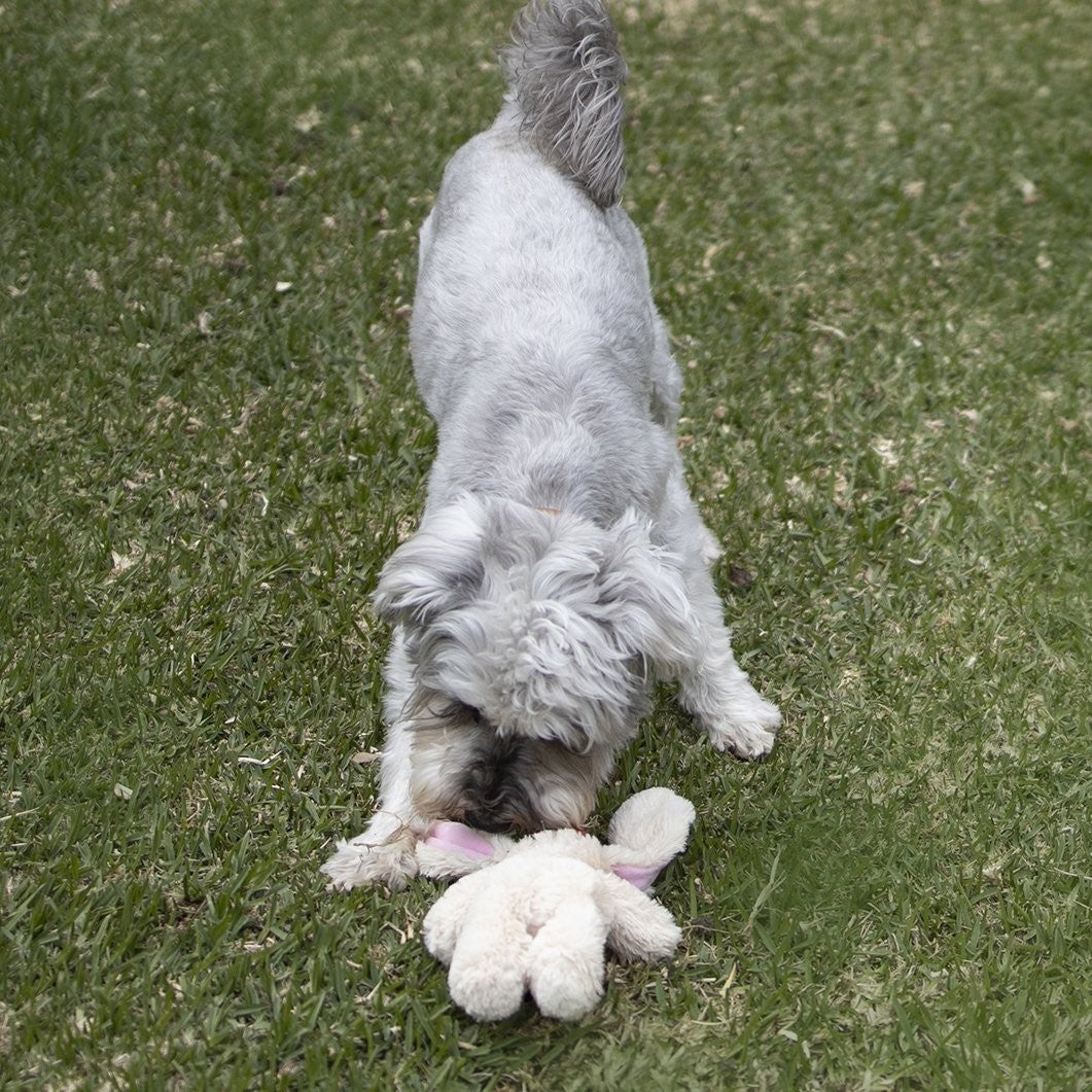 Kazoo Dog Toy Furries Long Eared Bunny [:small]