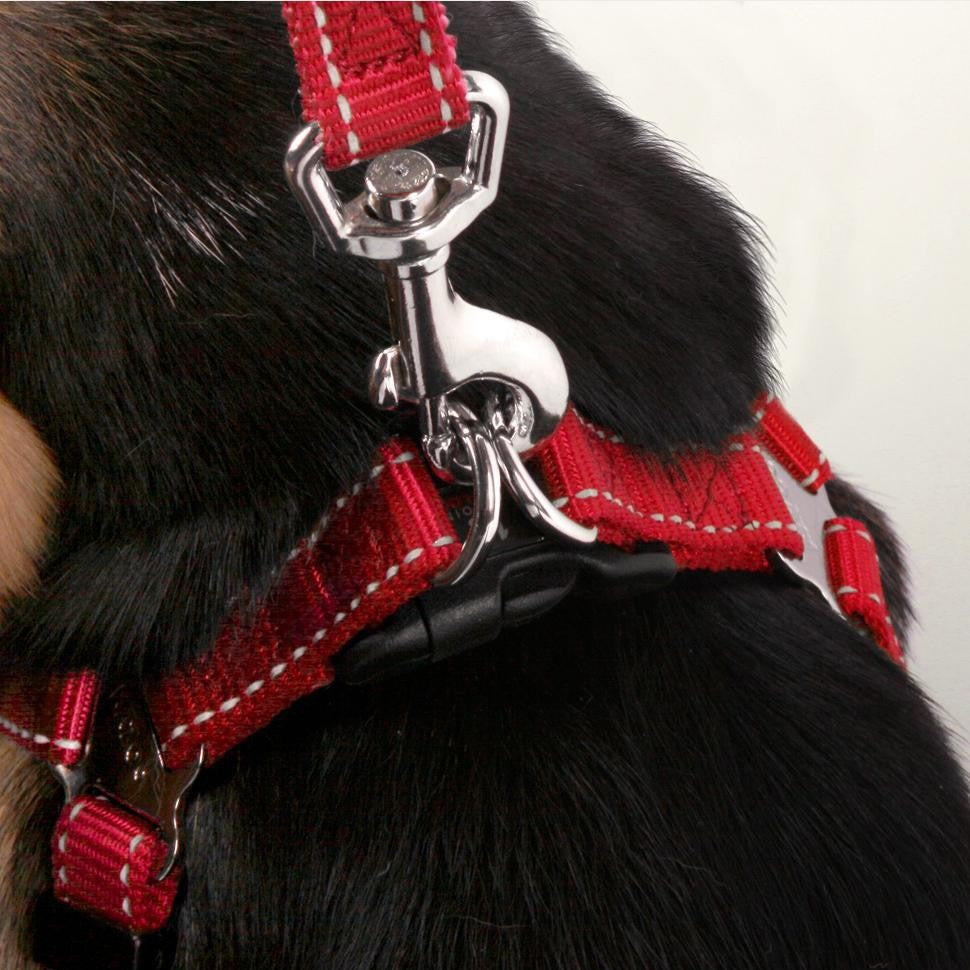 Kazoo Dog Leash Classic Red 1800mm [:15mm]