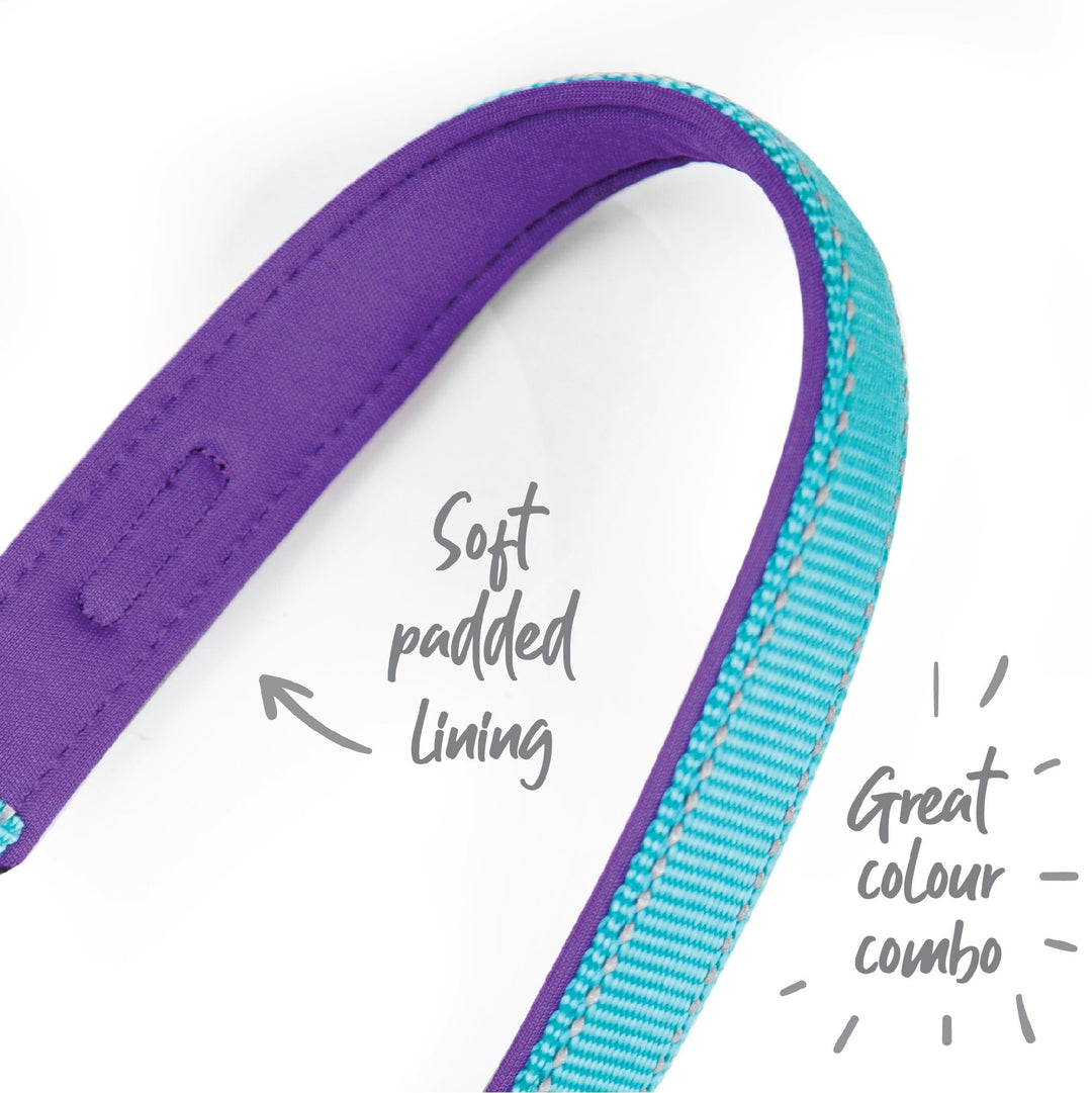 Kazoo Dog Leash Active Aqua & Purple 1800mm [:15mm]