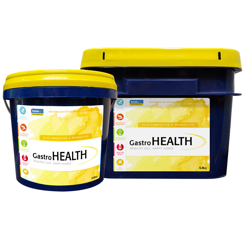 Gastro Aid Everyday Kelato 1.68kg