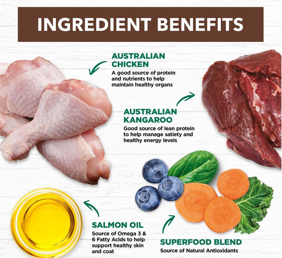 Ivory Coat Cat Grainfree Chicken & Kangaroo 4kg