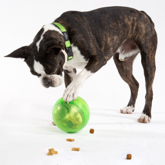 Rogz Dog Toy Treat Tumbler Red