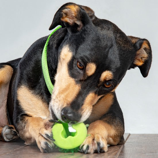 Rogz Dog Toy Fred Treat Ball Red