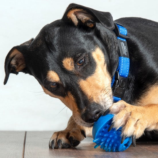 Rogz Dog Toy Fred Treat Ball Red