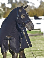 Cotton Show Rug Earlwood Black & Gold [:5'9"]