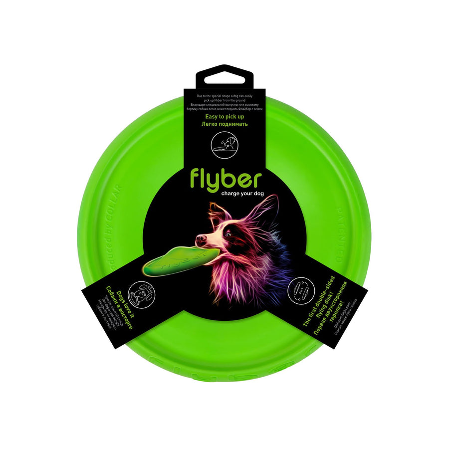 Sassbai Toy Flyber Flying Disk