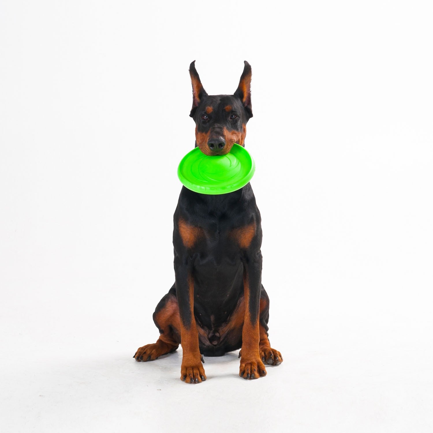 Sassbai Toy Flyber Flying Disk