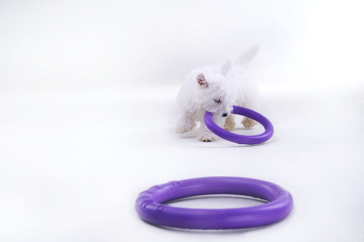 Sassbai Toy Puller [:standard]