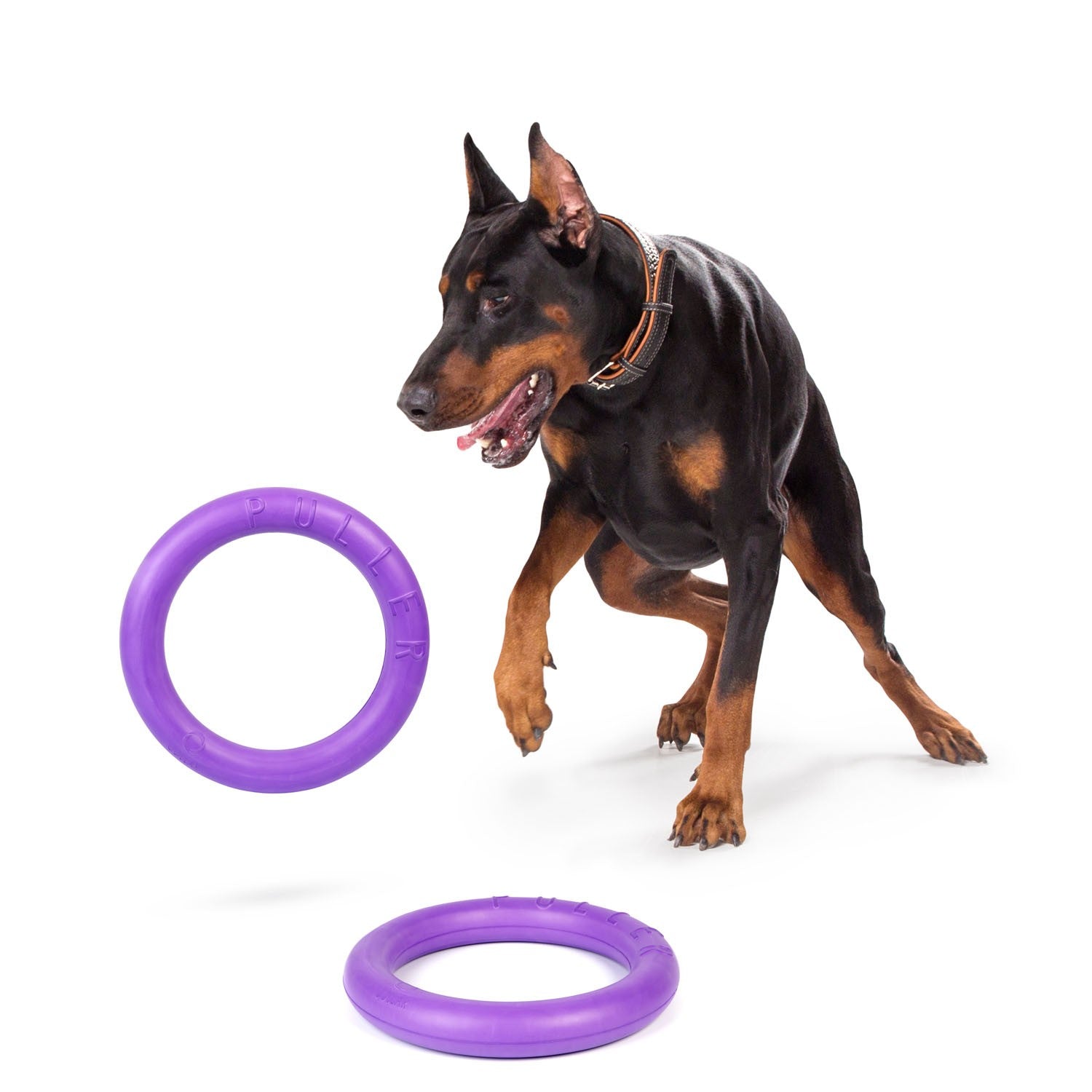 Sassbai Toy Puller [:mini]
