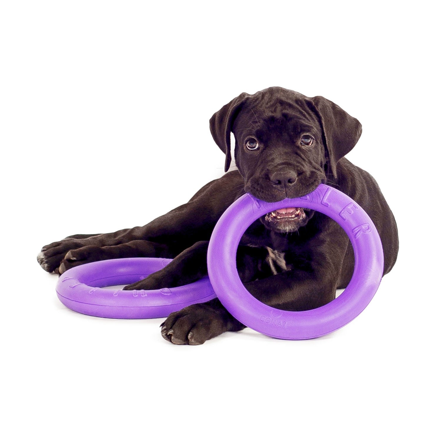 Sassbai Toy Puller [:maxi]