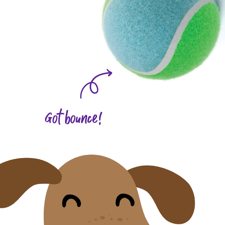 Kazoo Dog Toy Tennis Ball [:large]