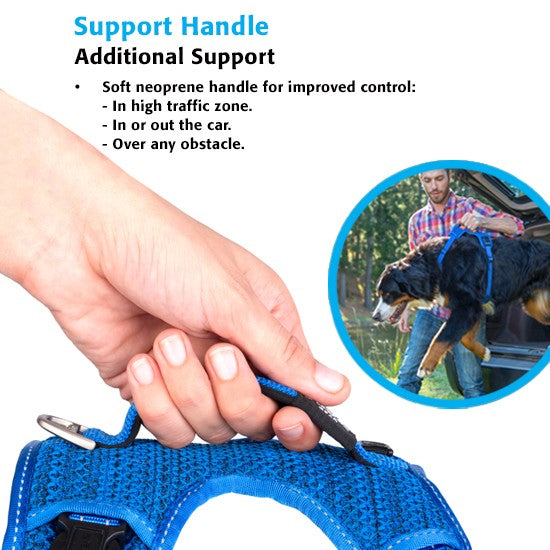 Rogz Harness Explore Blue [:extra Large]