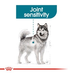 Royal Canin Dog Maxi Joint Care 10kg