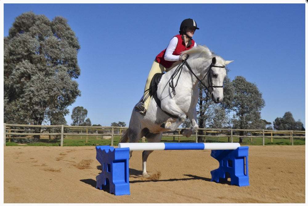 Jump Agboss Cavaletti Pair Blue 
