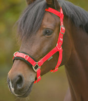 Lunge Cavesson Light Waldhausen Red