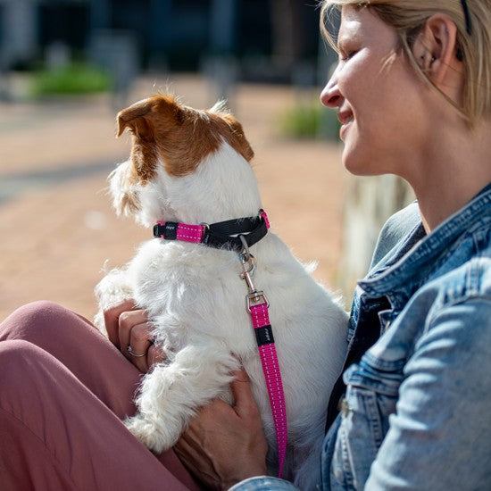 Rogz Dog Collar Control Web Black [:small]