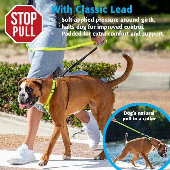 Rogz Harness Control Stop Pull Black [:extra Large]