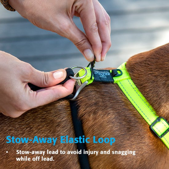 Rogz Harness Control Stop Pull Blue [:extra Large]