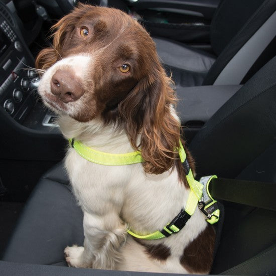 Car Seat Belt Rogz Safety Clip Fluro