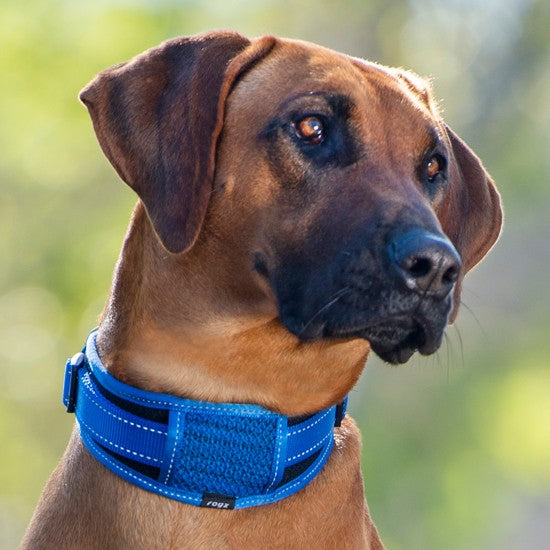 Rogz Dog Collar Classic Padded Black [:xxl]