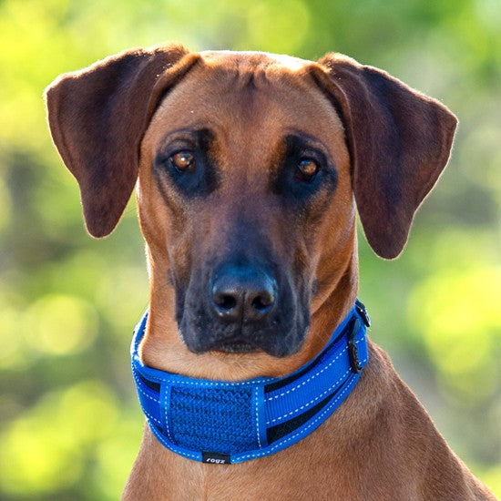 Rogz Dog Collar Classic Padded Black [:xxl]